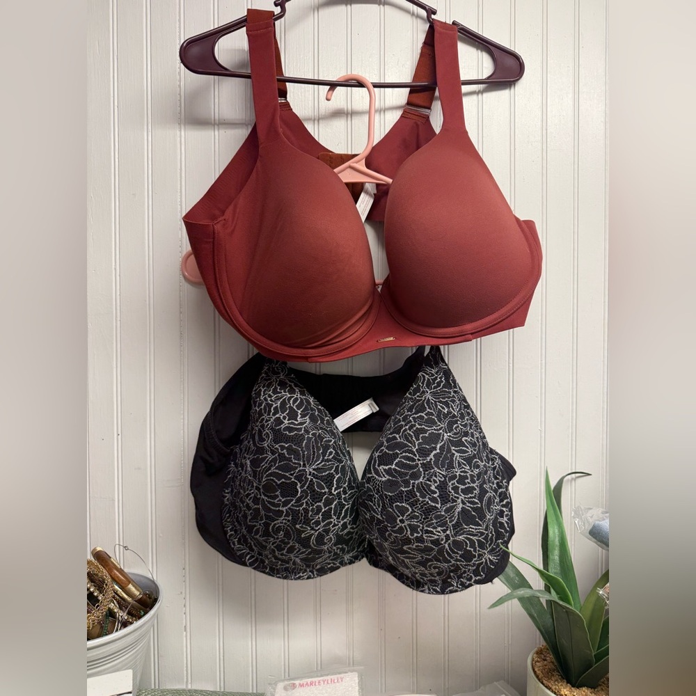 Two Plus Size Bras